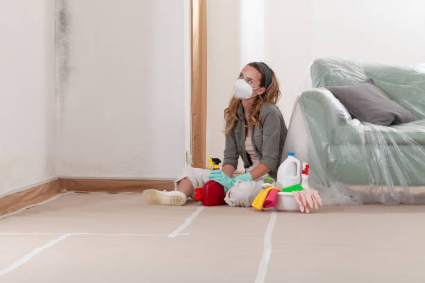 Reliable Mold Remediation contractor in Jessup, MD by WQB Mold Removal